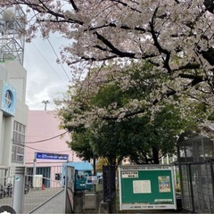 エンジョイフットサル　高円寺　1月25日17時〜19時　参加者募集　杉並第四小学校跡 - スポーツ