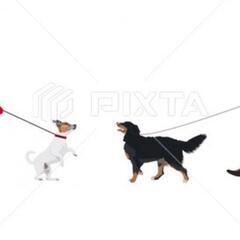 🐶大型犬友達🐶募集