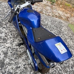 ポケバイの画像