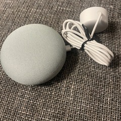 google home