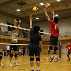 🏐東京でバレーボール仲間を大募集！✨初心者も経験者も大歓迎😊 - スポーツ