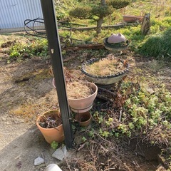お好きなだけお譲り致します！美里町！植木鉢、プラスチックや陶器、好きなだけ持って行ってください。の画像