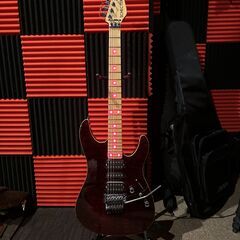 SCHECTER NV Ⅱ 24 LED 仕様