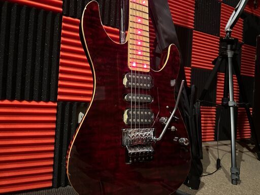 SCHECTER NV Ⅱ 24 LED 仕様