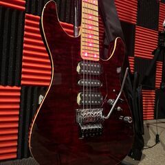 SCHECTER NV Ⅱ 24 LED 仕様