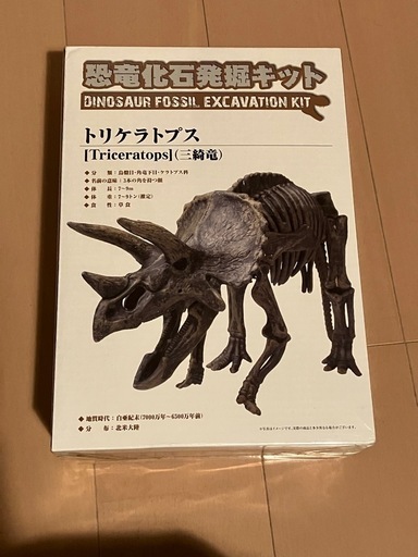 【新品】化石発掘キット