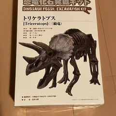 【新品】化石発掘キット