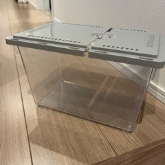 美品