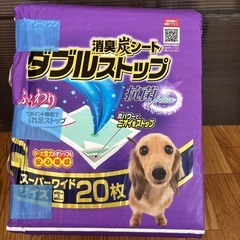 (決定！)ペットシーツ２０枚