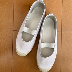 24.0 バレーシューズ 上履き