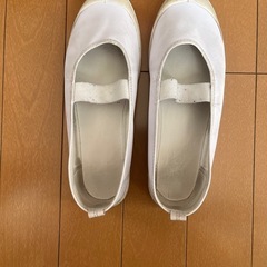 24.0 バレーシューズ 上履きの画像