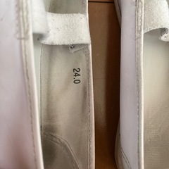 24.0 バレーシューズ 上履きの画像