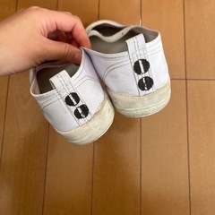 24.0 バレーシューズ 上履きの画像