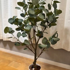 【まとめて引取でタダ】高さ85cm　Nature 光触媒人工観葉...