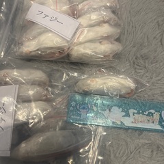 ファジー　蛇　爬虫類　エサ