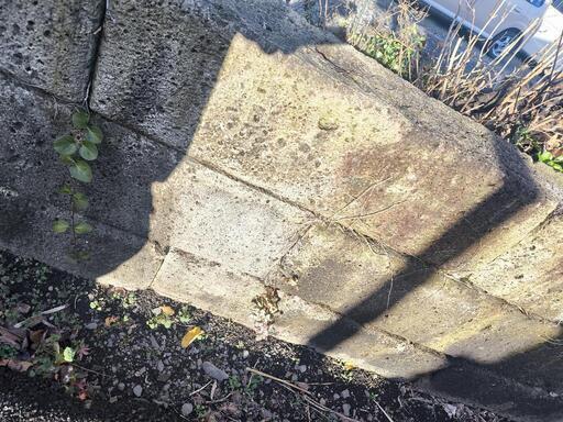 超貴重！大量100個！鹿沼産の深岩石！
