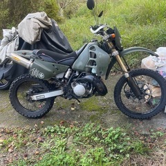 決まりました。