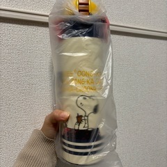 水筒　ロック付きワンプッシュダイレクトボトル スヌーピ 1リットル  の画像