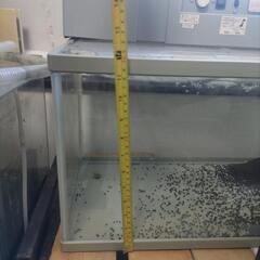 水槽とライトのセットの画像