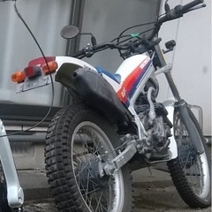 早い物勝ちTLR200R 