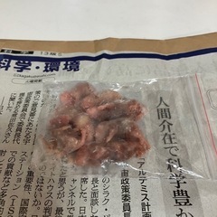 冷凍ピンクマウス　7匹 