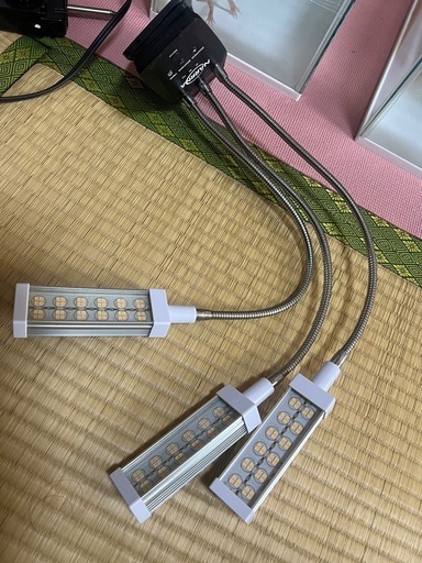 3連　動植物育成ライト