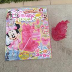 ひめぐみとディズニー一緒ﾌﾞｯｸの画像