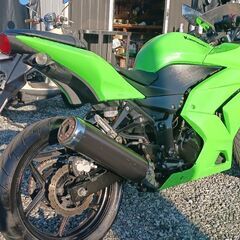 ニンジャ250、エンジン好調、始動動画の画像