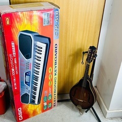 【✨‼️現品限り‼️✨】CASIO CTK-481 電子ピアノ ...