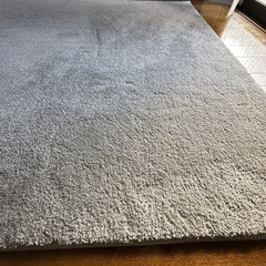 カーペット、ラグ、マット(ニトリ)200×140(cm)の画像