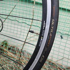 KUOTA   ロードバイクの画像