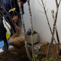 ▼正社員：造園土木の現場作業員【未経験OK】▼年間15時間！残業ほぼなしでプライベートも充実◎造園・土木業界で活躍する女性メンバーを応援！希望のお休みがほぼ100%！プライベートも充実◎の画像
