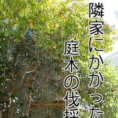伐採や草刈り、防草シート施行など