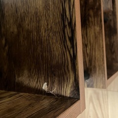 テレビラックの画像