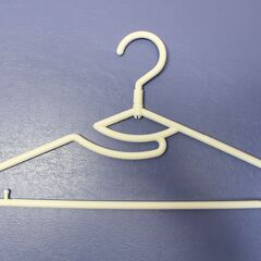 プラスチック製ハンガー　 30本　(2)