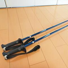 ★KIZAKI Treasure CARBON スキー ストックの画像