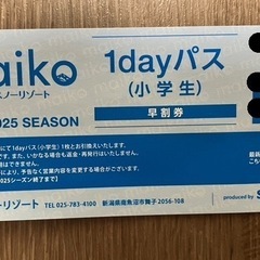 舞子スノーリゾート1日券　小学生
