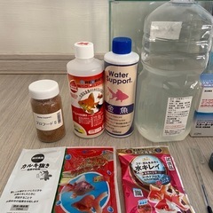 【大幅値下げ！】水槽　金魚　メダカ　飼育　魚の画像