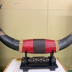 【7A08⑧】水牛の角の画像