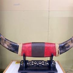 【7A08⑧】水牛の角