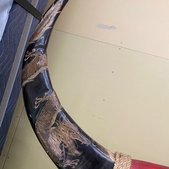 【7A08⑧】水牛の角の画像