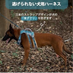 NO103未使用品　大型犬ハーネス