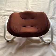 ながらウォーク/ショップジャパンの画像