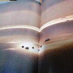 お値下げしました　島田謹介　写真集の画像