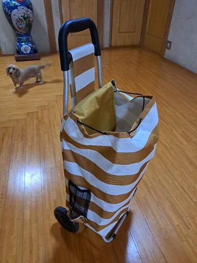 買い物　ショッピングカート