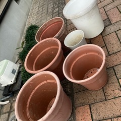 植木鉢　