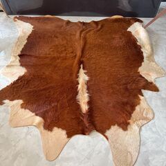 カウスキン