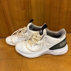 エゴザル　バッシュ 28.5cmの画像