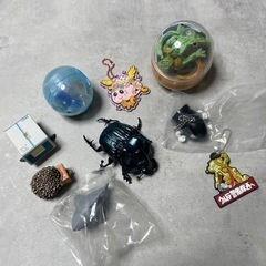 カプセルトイ　いろいろ