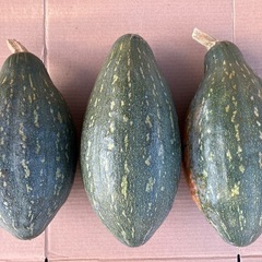 万次郎かぼちゃ　3個　かぼちゃ　カボチャ　南瓜　2501082